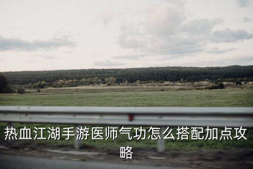 热血江湖手游医师气功怎么搭配加点攻略