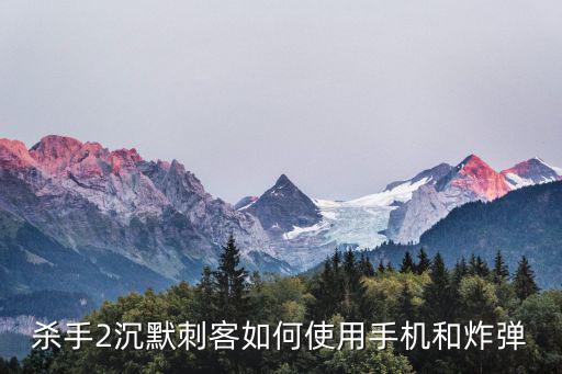 杀手2沉默刺客如何使用手机和炸弹