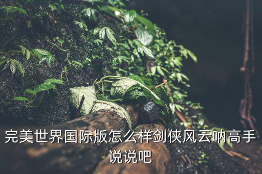 完美世界国际版怎么样剑侠风云呐高手说说吧
