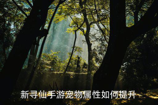 新寻仙手游宠物属性如何提升