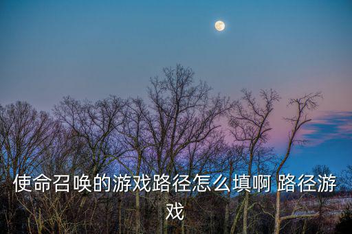 使命召唤的游戏路径怎么填啊 路径游戏