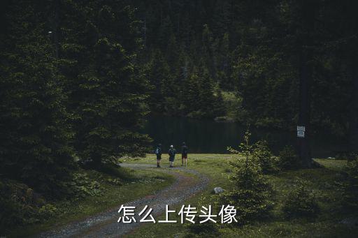 怎么上传头像