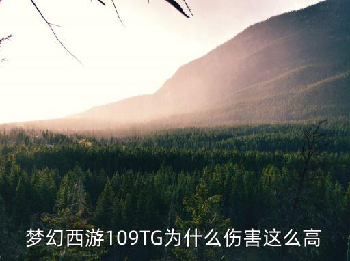梦幻西游109TG为什么伤害这么高