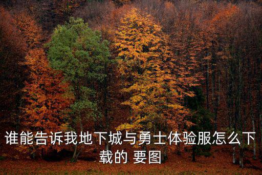 地下城勇士手游测试服怎么下载，谁能告诉我地下城与勇士体验服怎么下载的 要图