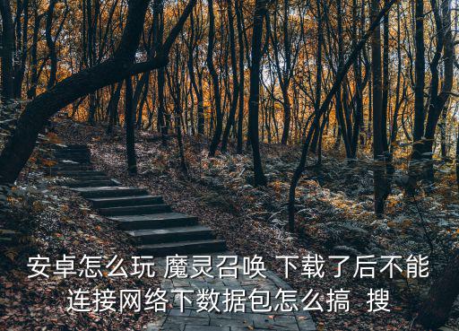 安卓怎么玩 魔灵召唤 下载了后不能连接网络下数据包怎么搞  搜