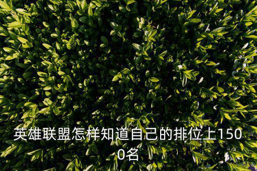 英雄联盟怎样知道自己的排位上1500名