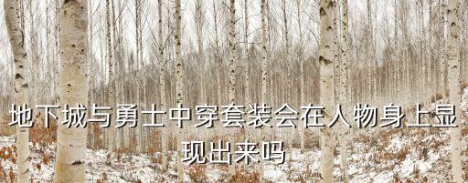 地下城与勇士中穿套装会在人物身上显现出来吗