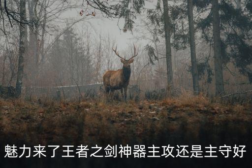 魅力来了王者之剑神器主攻还是主守好