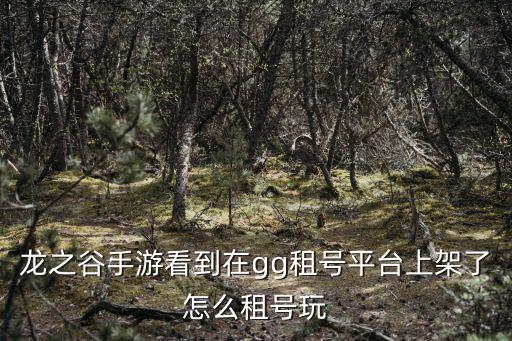龙之谷手游看到在gg租号平台上架了怎么租号玩