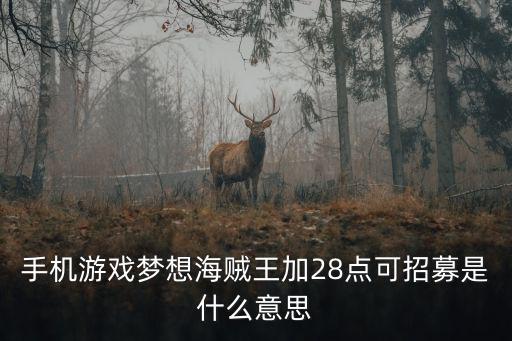 手机游戏梦想海贼王加28点可招募是什么意思