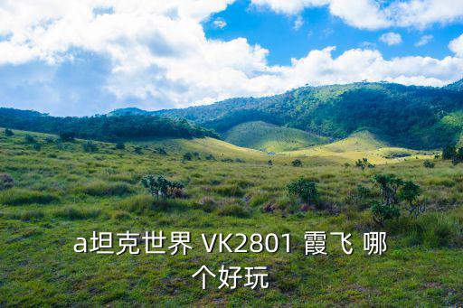 a坦克世界 VK2801 霞飞 哪个好玩