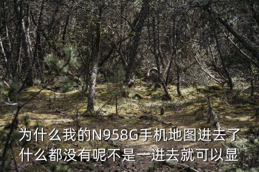 为什么我的N958G手机地图进去了什么都没有呢不是一进去就可以显