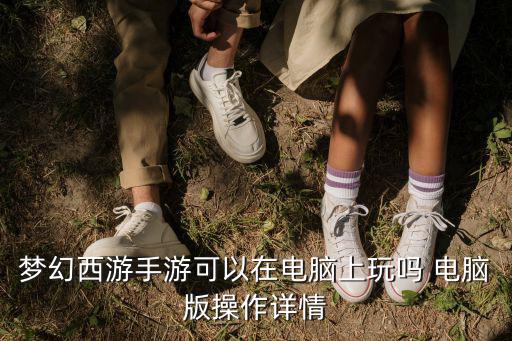 梦幻西游手游可以在电脑上玩吗 电脑版操作详情