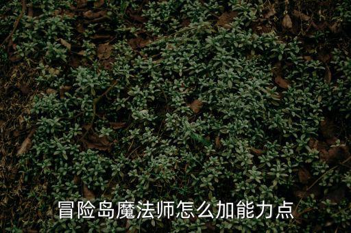冒险岛魔法师怎么加能力点