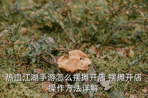手游热血江湖星耀怎么摆，热血江湖手游弓手星耀用什么颜色