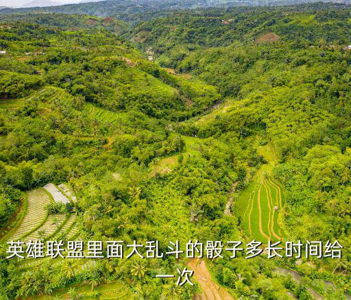 英雄联盟里面大乱斗的骰子多长时间给一次