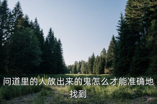 问道里的人放出来的鬼怎么才能准确地找到