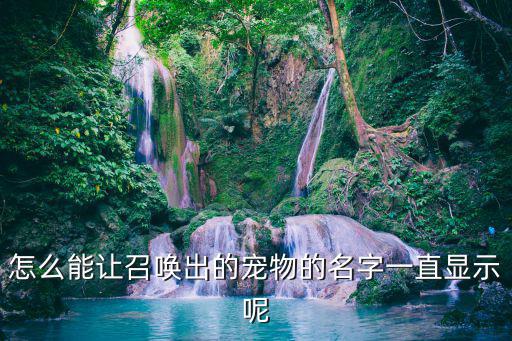 方舟手游宠物怎么开启名字显示，怎么能让召唤出的宠物的名字一直显示呢