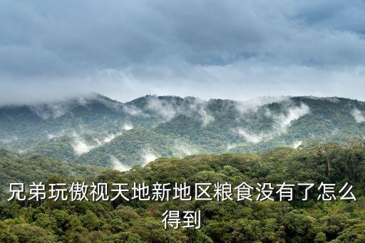 兄弟玩傲视天地新地区粮食没有了怎么得到