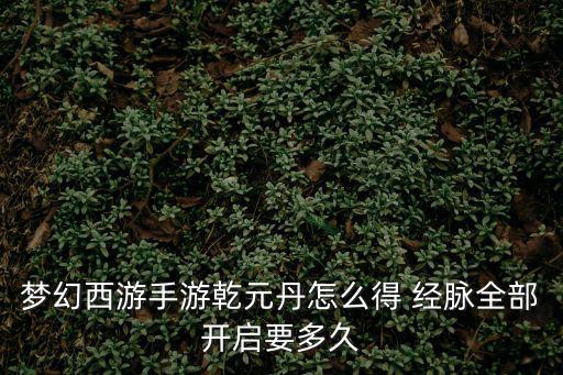 梦幻西游手游乾元丹怎么得 经脉全部开启要多久