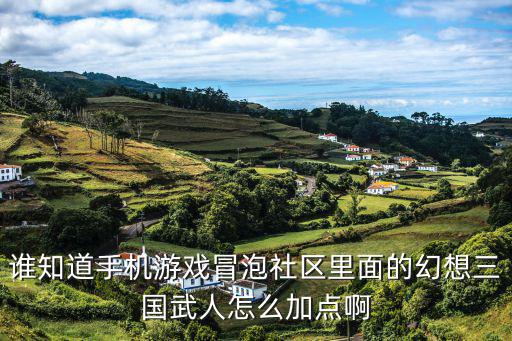 幻想三国志手游武器怎么加点，幻想三国怎么加点厉害