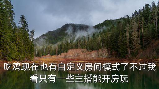 吃鸡现在也有自定义房间模式了不过我看只有一些主播能开房玩