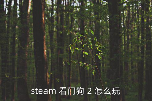 steam 看门狗 2 怎么玩