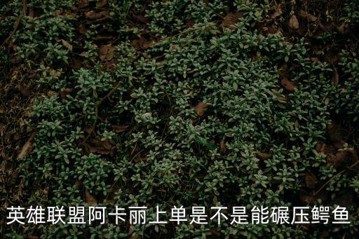 阿卡丽怎么打鳄鱼手游，英雄联盟阿卡丽上单是不是能碾压鳄鱼