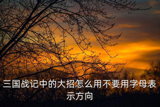 三国战记中的大招怎么用不要用字母表示方向