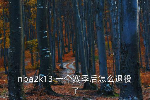 nba2k13 一个赛季后怎么退役了