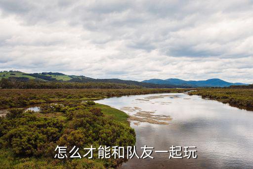 怎么才能和队友一起玩