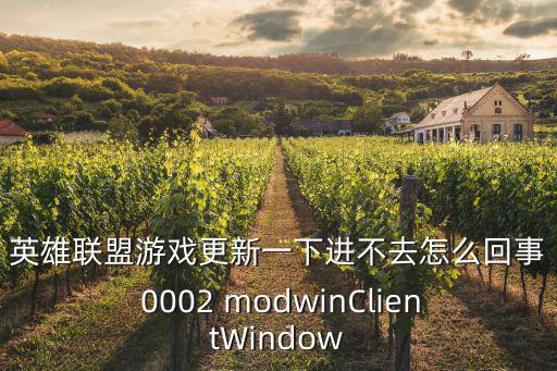 英雄联盟游戏更新一下进不去怎么回事 0002 modwinClientWindow