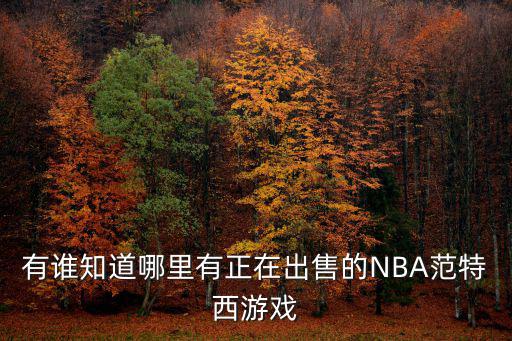 有谁知道哪里有正在出售的NBA范特西游戏
