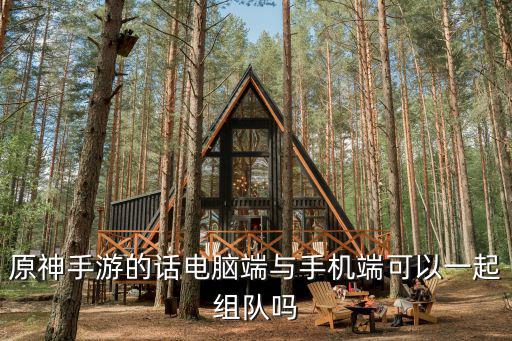 原神手游的话电脑端与手机端可以一起组队吗
