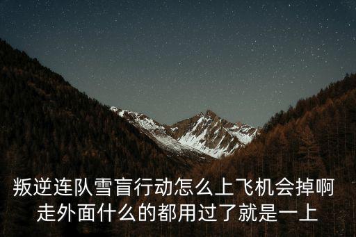 反叛公司手游怎么样用飞机，叛逆连队雪盲行动怎么上飞机会掉啊 走外面什么的都用过了就是一上