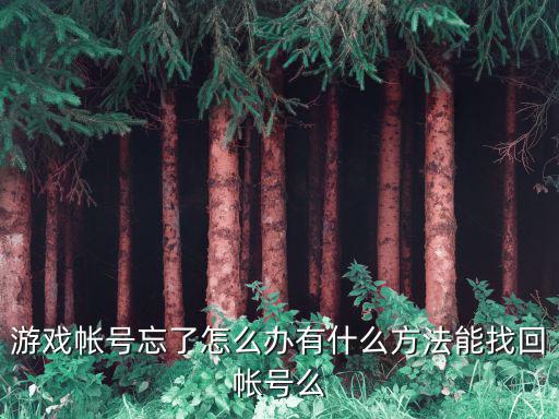 问道手游怎么找回游戏号，问道游戏帐号密码怎么找回