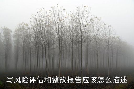 手游风险分析怎么写，写风险评估和整改报告应该怎么描述