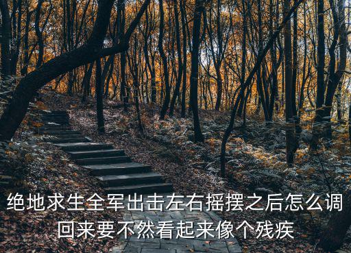 绝地求生全军出击左右摇摆之后怎么调回来要不然看起来像个残疾