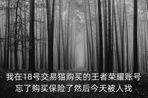 我在18号交易猫购买的王者荣耀账号忘了购买保险了然后今天被人找