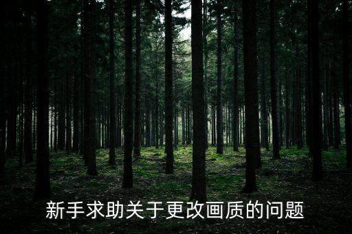 新手求助关于更改画质的问题
