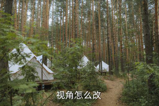 视角怎么改