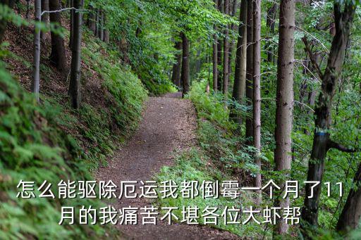怎么能驱除厄运我都倒霉一个月了11月的我痛苦不堪各位大虾帮