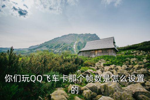 qq飞车跑图卡顿怎么设置手游，你们玩QQ飞车卡那个帧数是怎么设置的