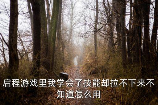 启程游戏里我学会了技能却拉不下来不知道怎么用