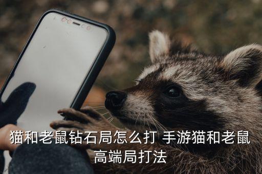 猫和老鼠钻石局怎么打 手游猫和老鼠高端局打法