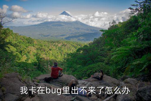 重生细胞手游卡bug怎么办，BUG卡进去了 掉游戏 怎么在进不去了