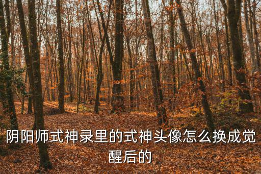阴阳师式神录里的式神头像怎么换成觉醒后的