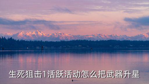手游生死狙击怎么给武器升级，生死狙击1活跃活动怎么把武器升星