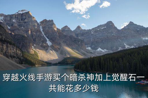 穿越火线手游买个暗杀神加上觉醒石一共能花多少钱