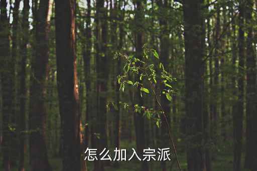 怎么加入宗派